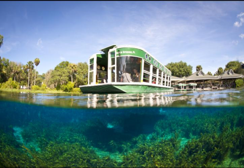 Photo credit: Silver Springs State Park