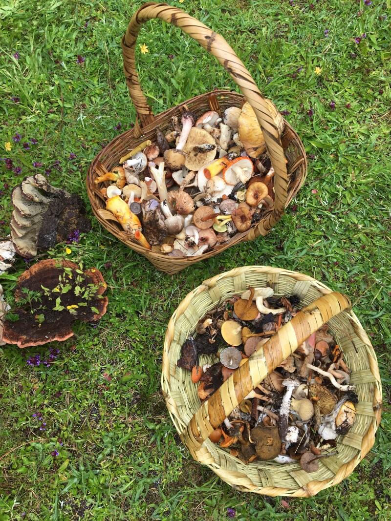 The spoils of the hunt