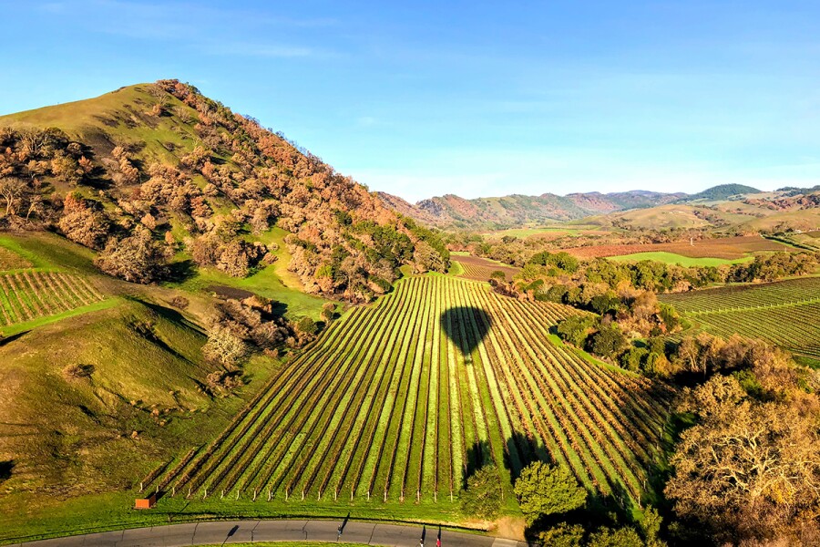 How to Explore Napa Valley’s Vineyards—Without Driving