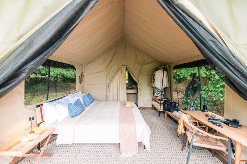 Chicari Camp accommodations under canvas with a large bed and wooden desk
