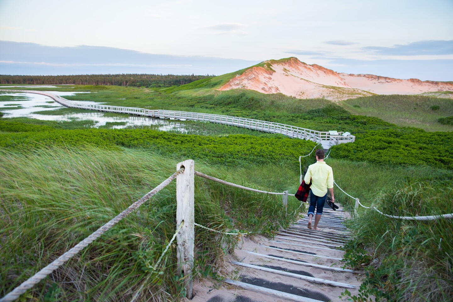 Person walking down steps with tall, green grass around