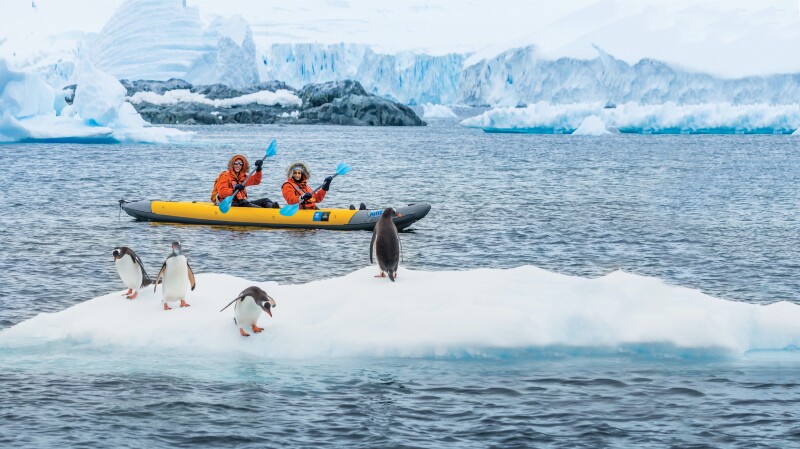 On a Lindblad Expeditions trip to Antarctica, travelers can expect intimate encounters with wildlife.