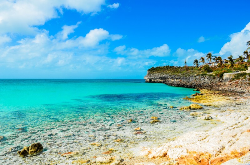 Rocky shoreline near turquoise water, with a few palm trees in distance at right