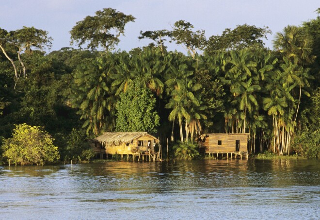 Review of Marajó Island | Anajás, Brazil, South America - AFAR