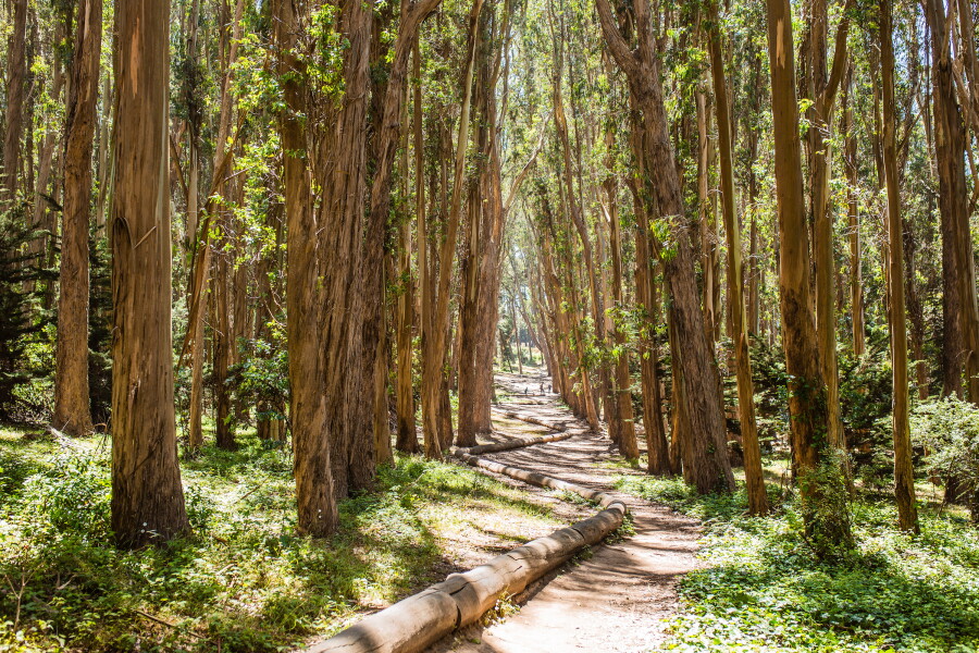 Where to See Land Art by Andy Goldsworthy - AFAR