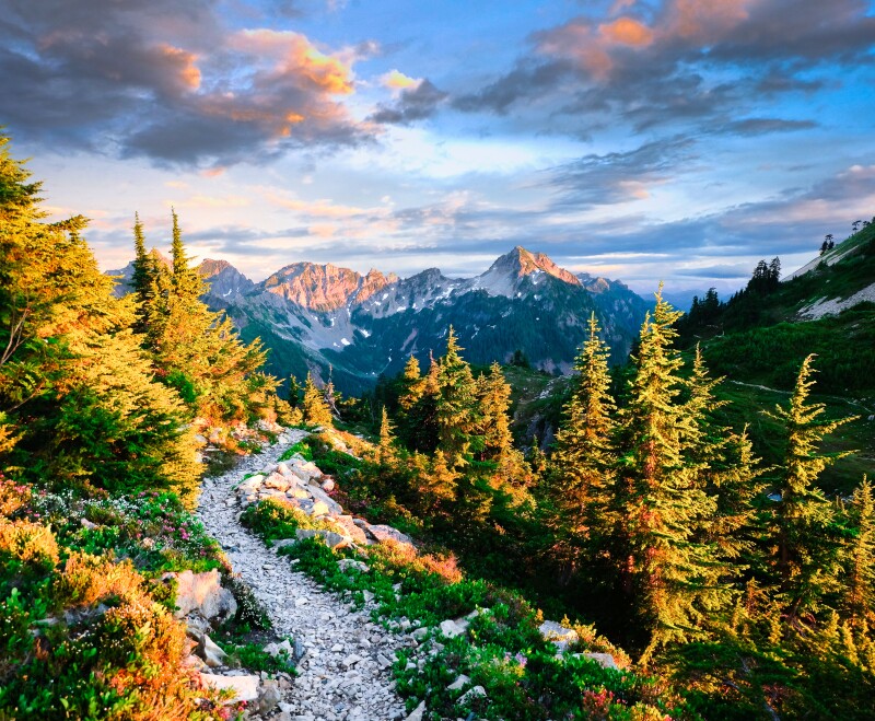 Gravel trail in a forest with mountains in the background