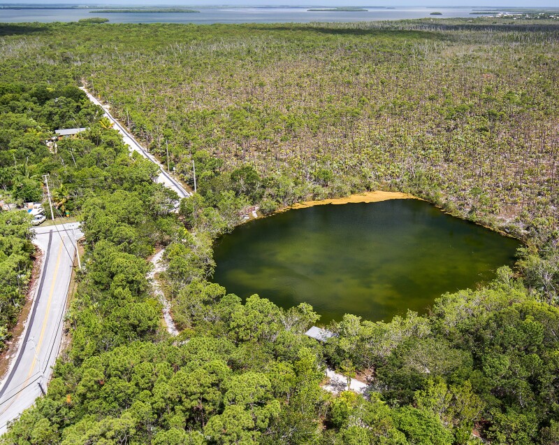 Aerial view of patch of deep water in a forest, with paved road at left