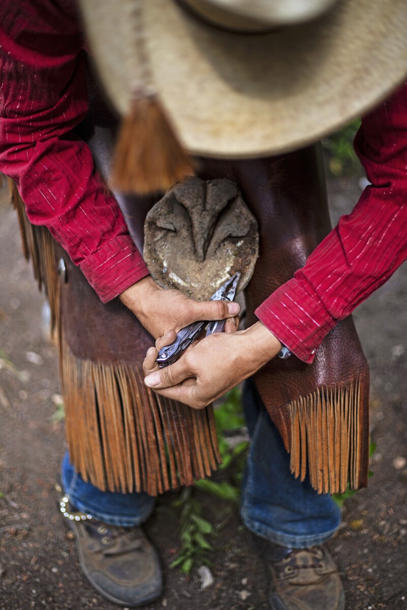 Guide Melissa Pangraze pulls nails from Blacktail’s hoof after the horse lost a shoe.