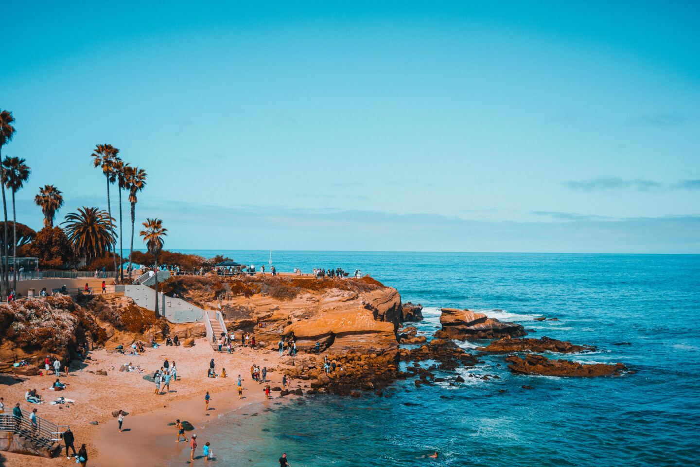 Rocky beach area with palm trees and a smattering of beach goers in San Diego, California
