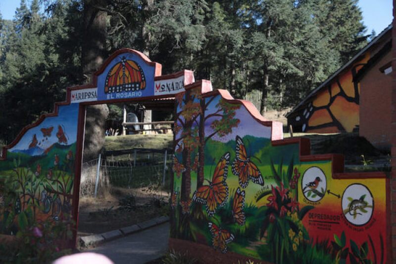 open-uri20160307-30359-974spu