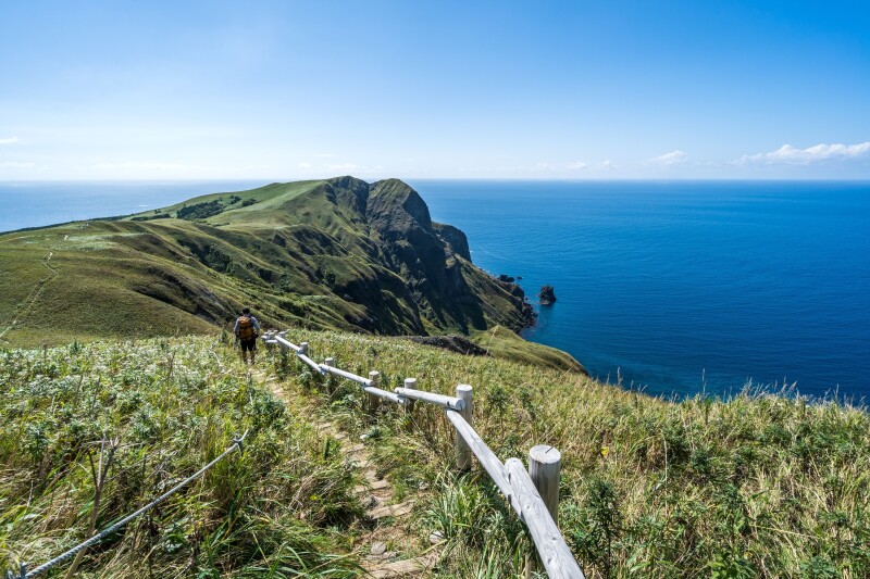 Wooden stairs with handrail cut into grassy field leading down to sea, with one person on stairs in distance