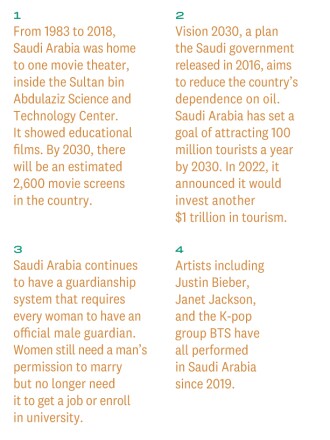 AFR010123_Saudi_Annotation01