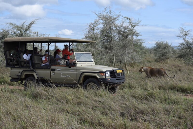 Serengeti Girls Run participants hopped back in their vehicle when predators were spotted too close to their course