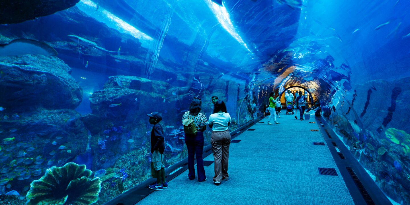 Autism-Certified Family Travel Ideas – AFAR Autism-Certified Family Travel Ideas – AFAR
