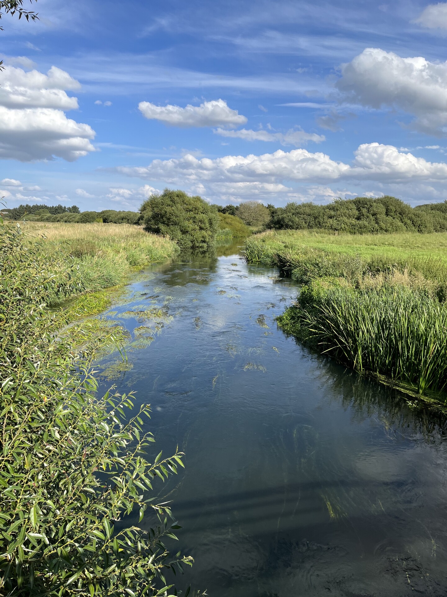 The Kongeåen River in Denmark, with green grass on the low banks