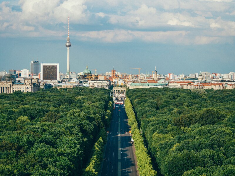 Cityscape near forested area