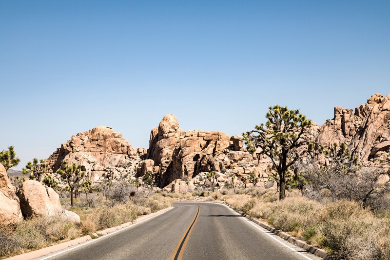 Empty highway passing through landscape of rocky outcroppings and a few Joshua trees