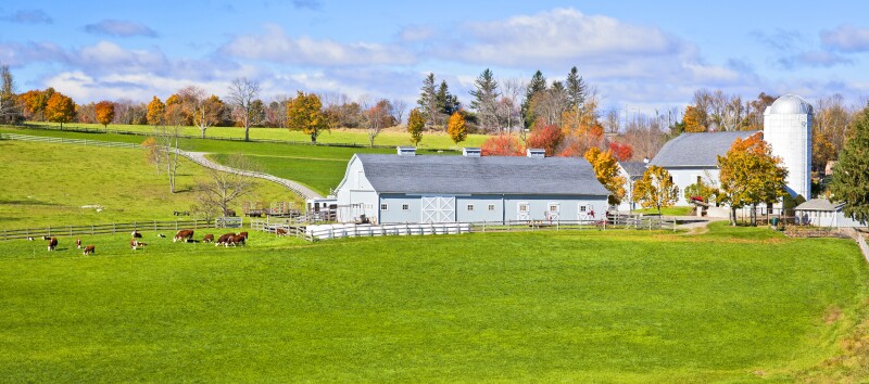 A dairy farm in rural Connecticut