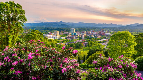 Elevated view of downtown Asheville with the Blue Ridge Mountains in the distance and blooming rhododendron in the foreground.
