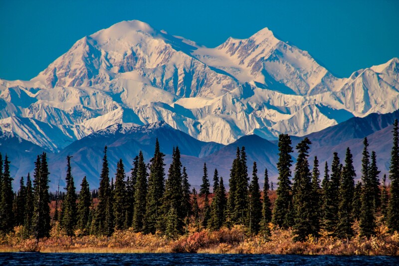 Snow-covered mountains with evergreen trees in the foreground