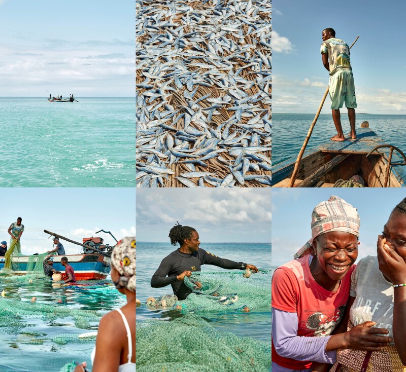 Various photos of people net-fishing in Mozambique