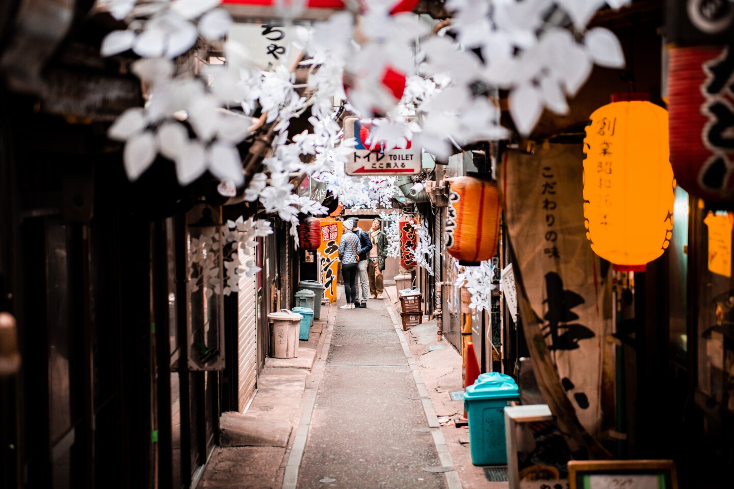 A calm moment captured in a Tokyo alleyway