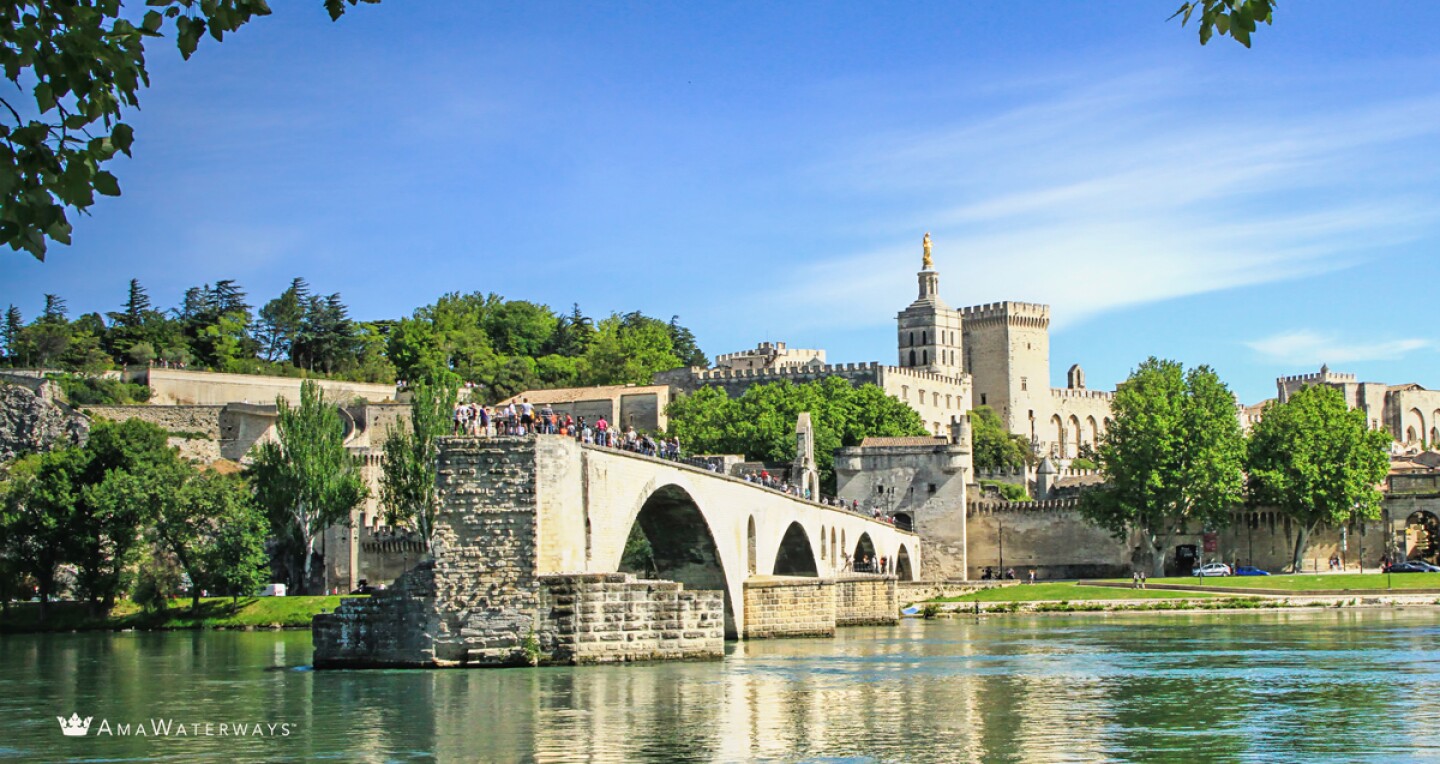 A view of a bridge over the green water in Avignon, France