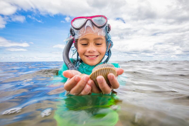 Dive on in to turn up dinner: Florida’s scalloping season runs from July 1 through September 24 each year.
