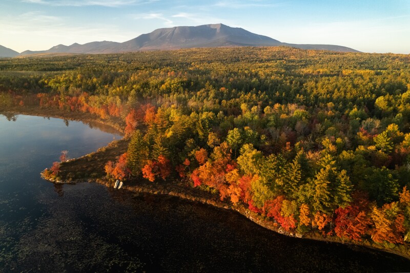 A birds-eye view of trees turning to red and fall colors in Katahdin Woods and Waters National Monument in Maine