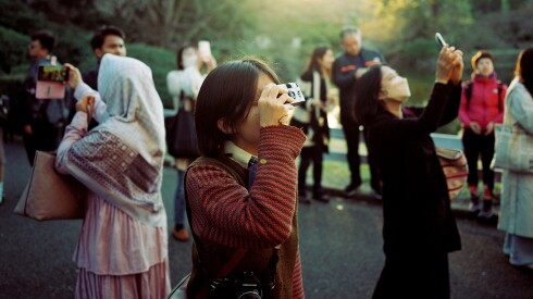 Taking up photography in scenic settings like Japan.