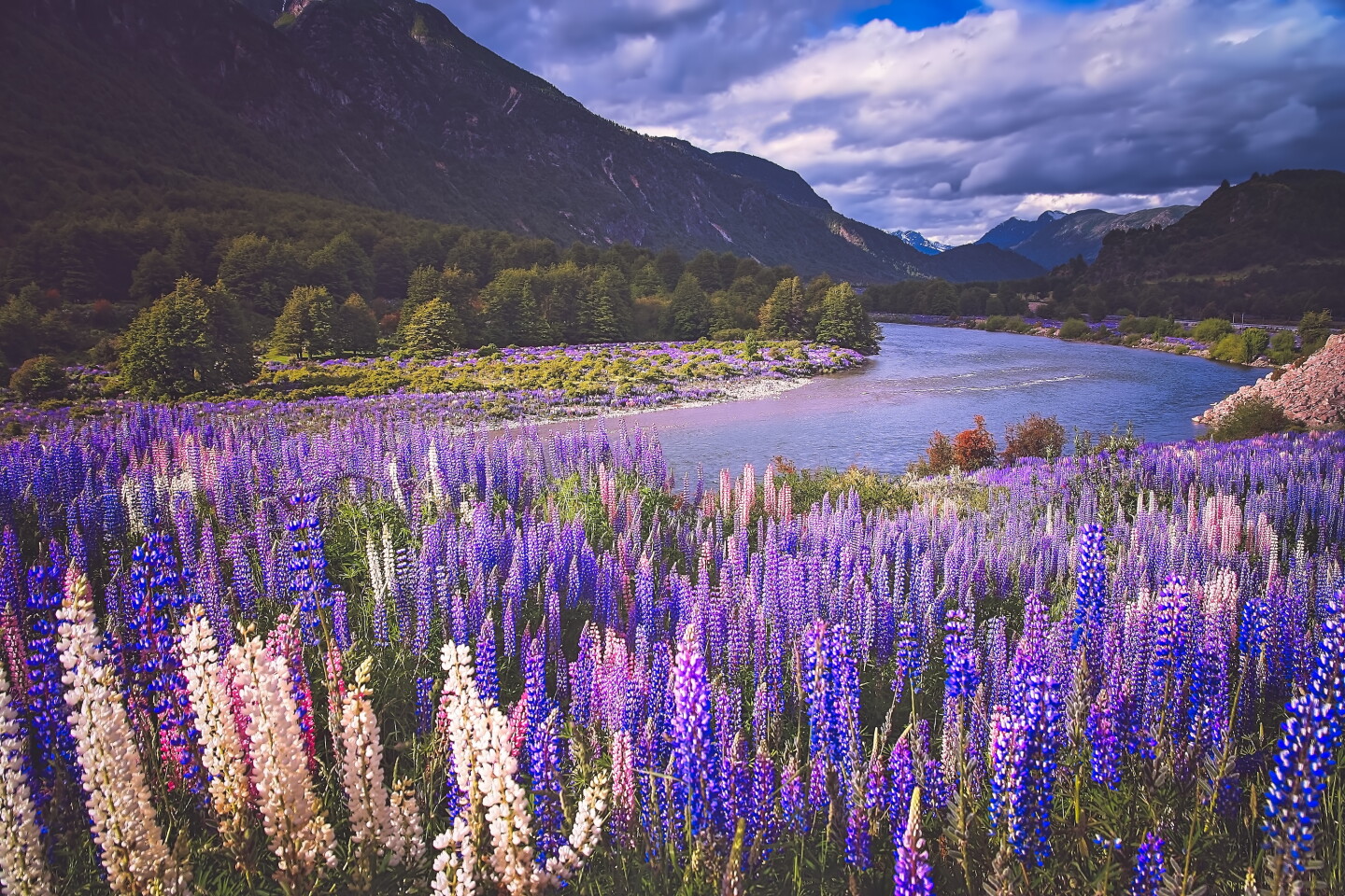 Spring In The World 13 Places to Travel to See Spring Flowers Around the World - AFAR
