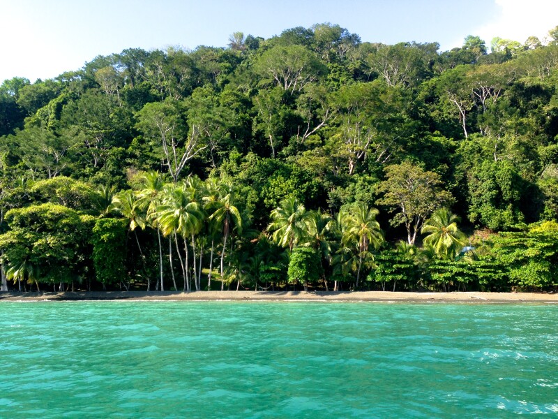 The beaches on The Osa Peninsula are a dream.