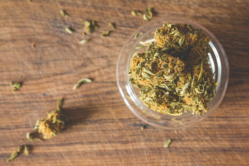 Dried marijuana buds, also referred to as “flower.”