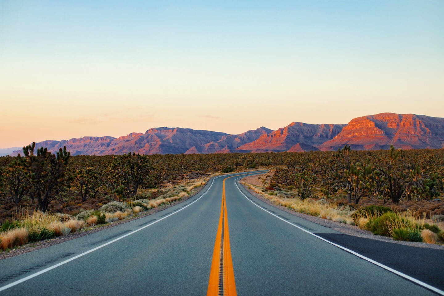 A road through Joshua Tree National Park