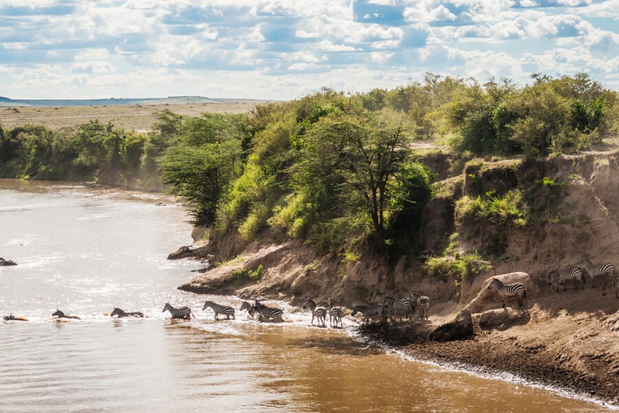 Kenya's Masai Mara National Reserve is located in the southwest of Kenya.