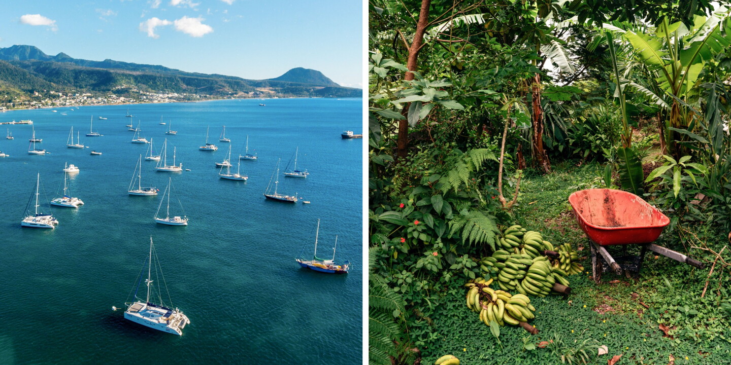 The Caribbean’s “Nature Island” Is Also Its Next Farm-to-Table Destination