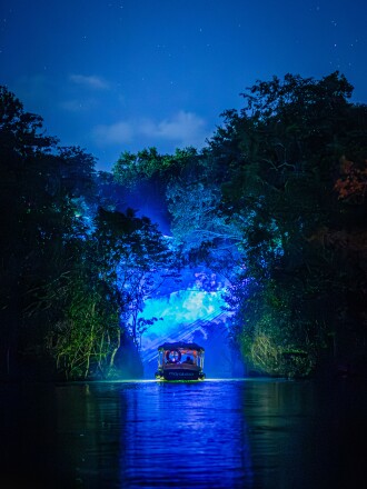 Candle-lit boats glide through Mayakoba’s canals, as lights and artists in the mangroves bring the Día de Muertos traditions to life.