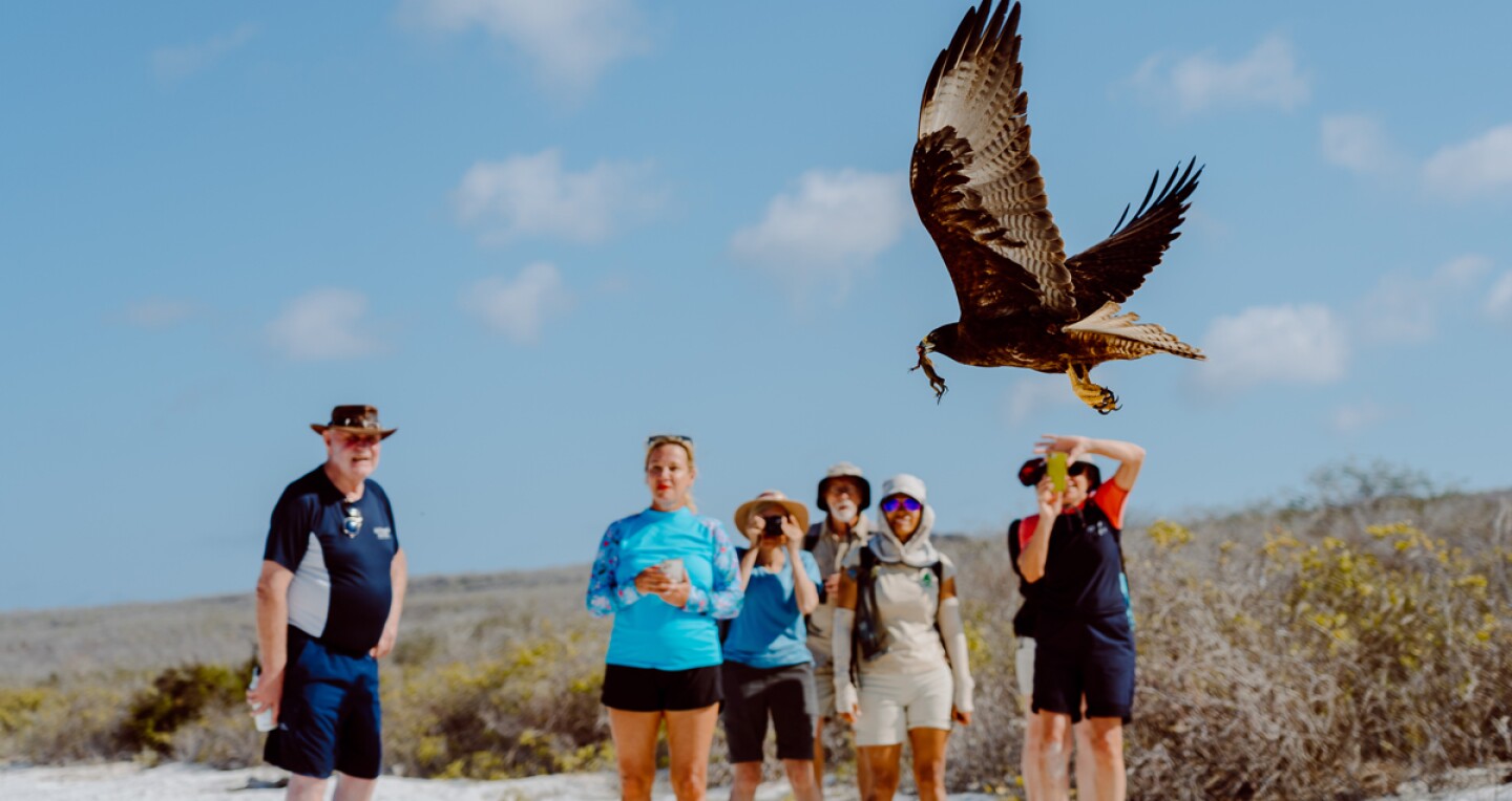 The Galápagos Islands are a paradise for birdwatchers.