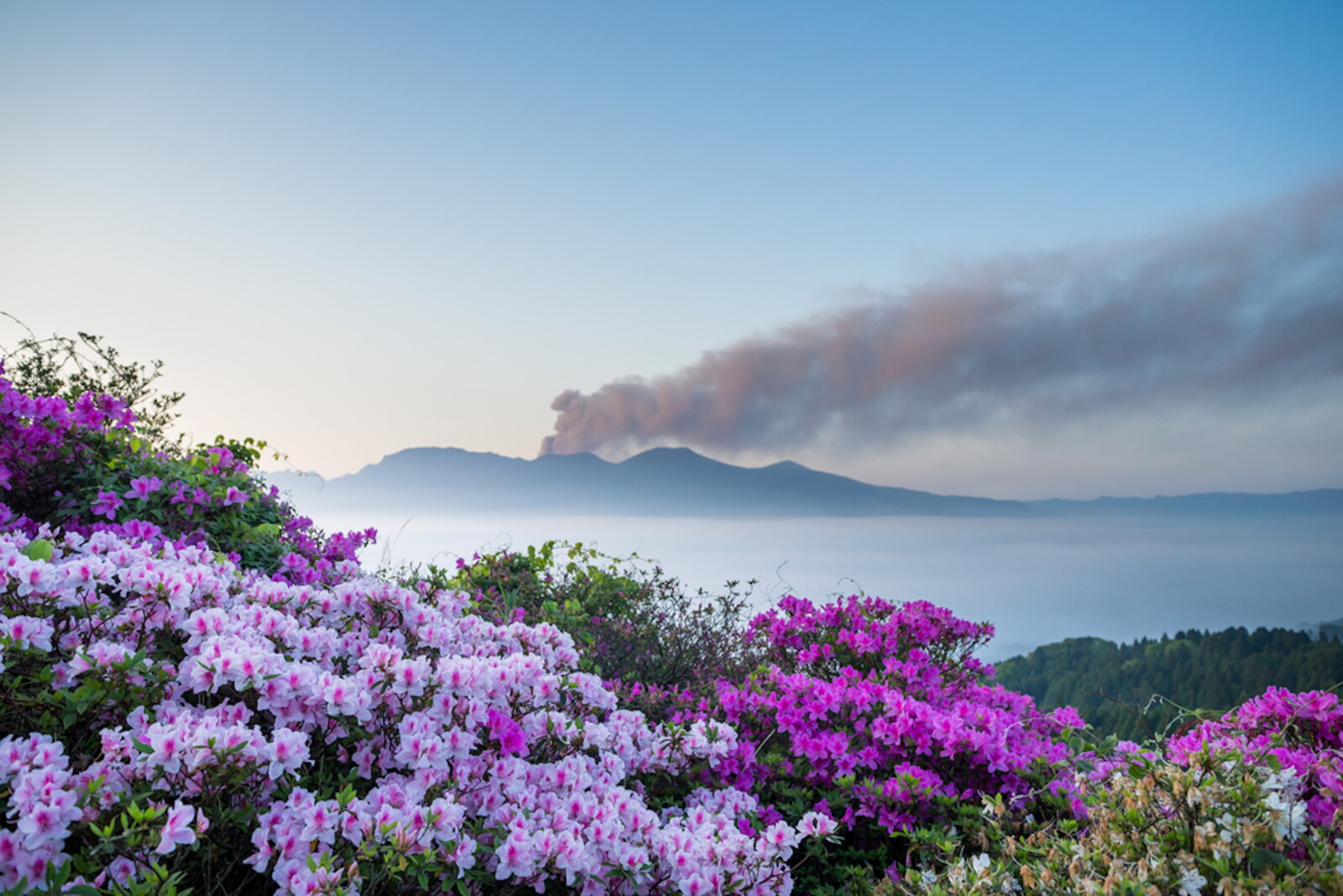 Spring In The World 13 Places to Travel to See Spring Flowers Around the World - AFAR