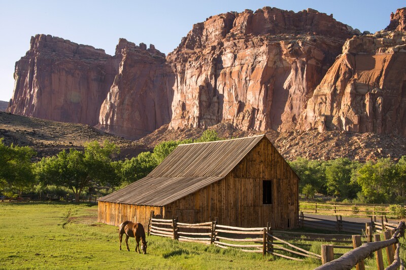 Horse and barn in green field below rock walls of Capitol Reef