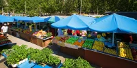 Market, Split, Croatia