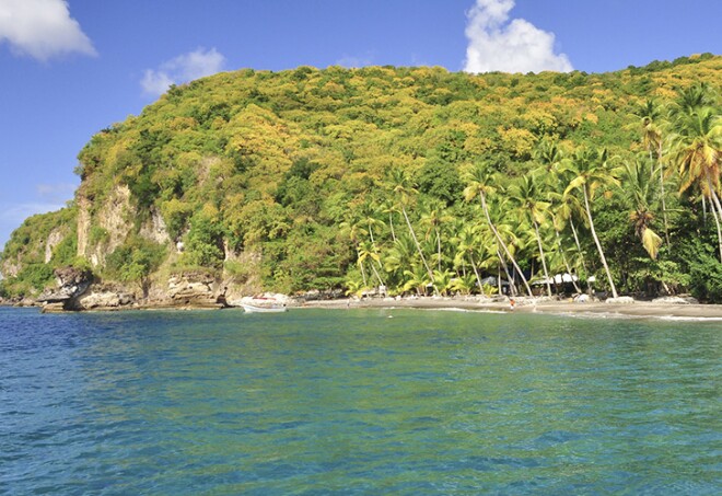 Palm trees and boats at Anse Mamin beach and cliffs, Anse Chastanet, Soufriere, sea, St. Lucia, Saint Lucia, Lesser Antilles, West Indies, Windward Islands, Antilles, Caribbean, Central America