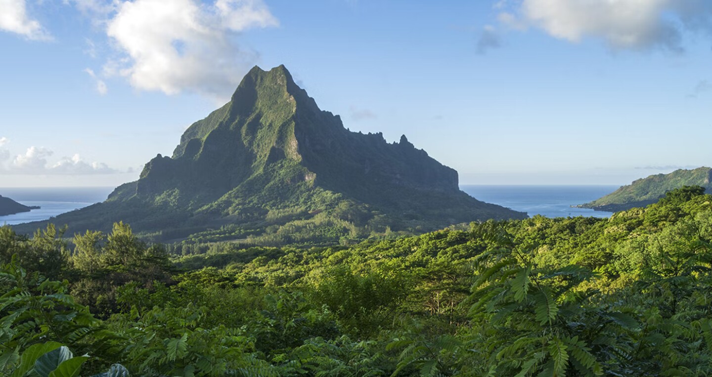 original_Tahiti_Dream_Day_3.jpg