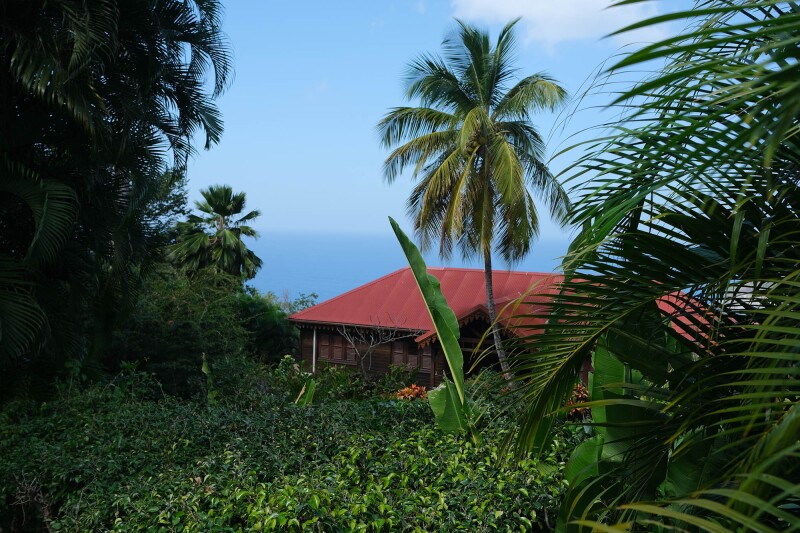 Guadeloupe is actually an archipelago made up of five main islands, including Basse Terre (seen here), Grande Terre, Marie Galante, Les Saintes, and La Desirade.