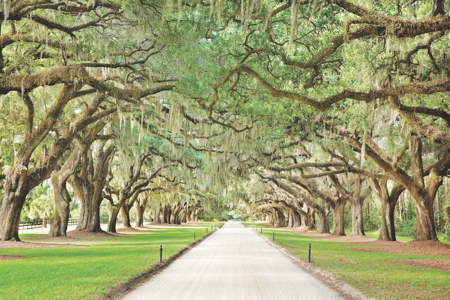 Boone Hall Plantation