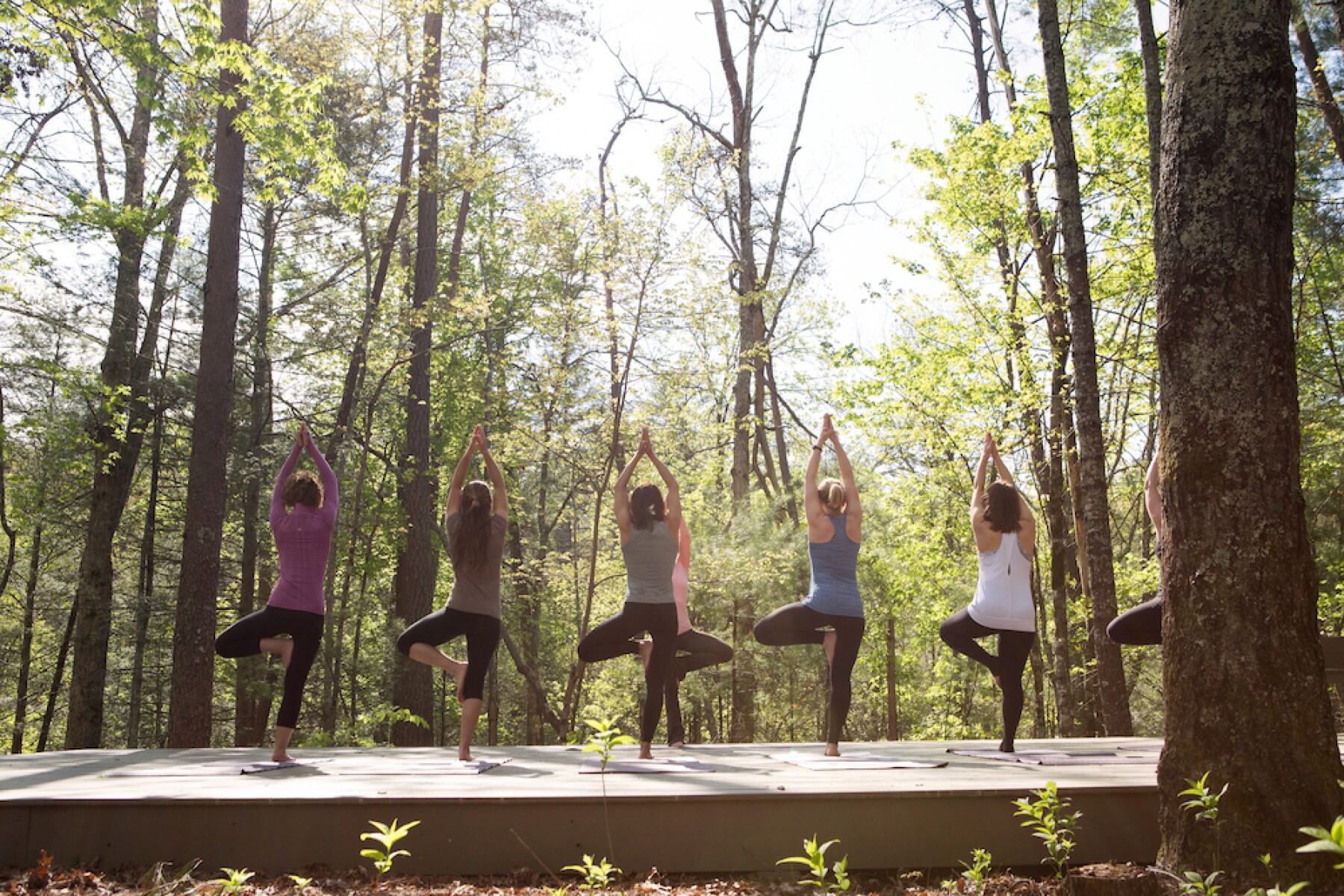 How to Go Forest Bathing - AFAR