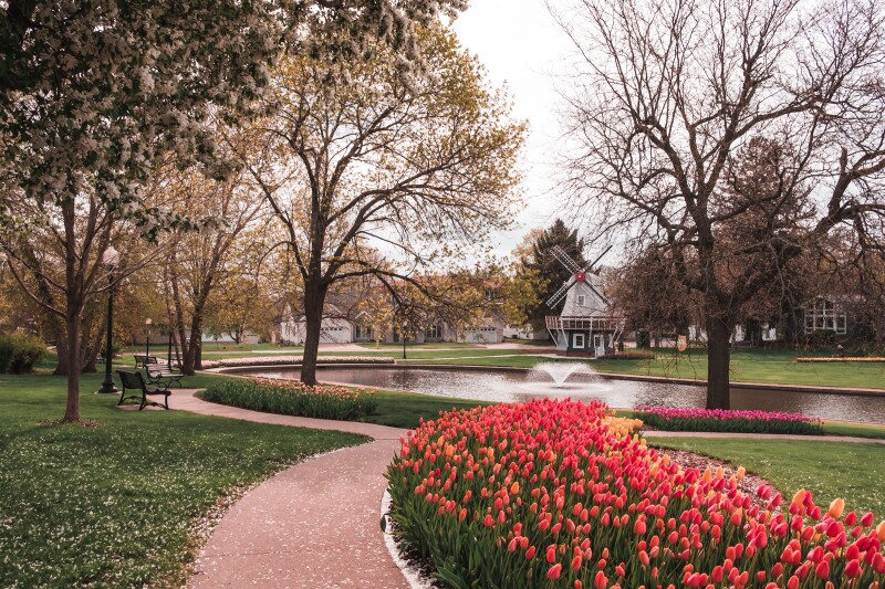 Red tulips growing along park pathway and pond in Pella