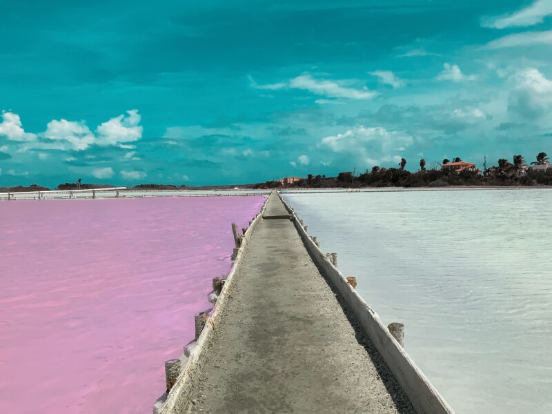 Bridge in the middle of the beach, pink sand on one side and white sand