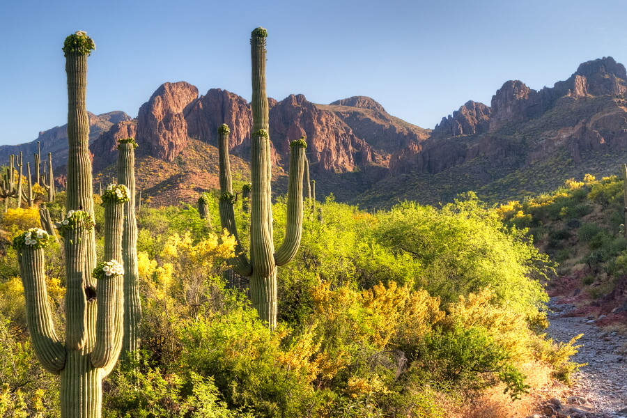 National Parks Spring Color The Best U.S. National Parks to Visit in the Spring - AFAR