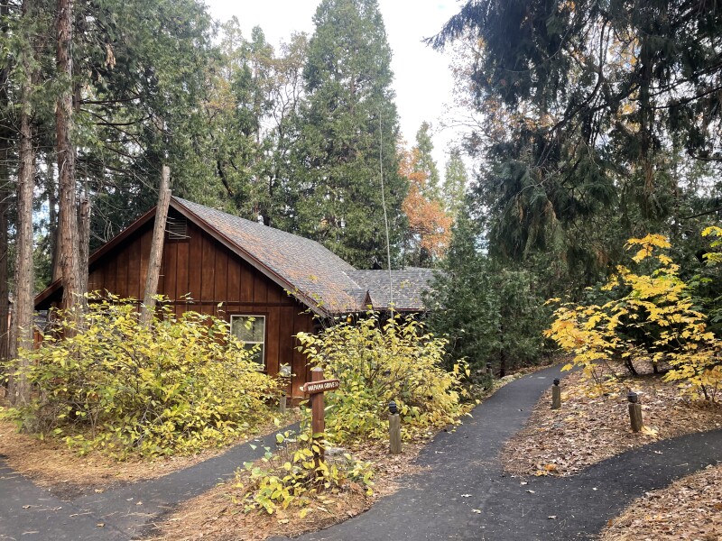 A 2-bedroom cabin at Evergreen Lodge nestled among forest trees and bushes